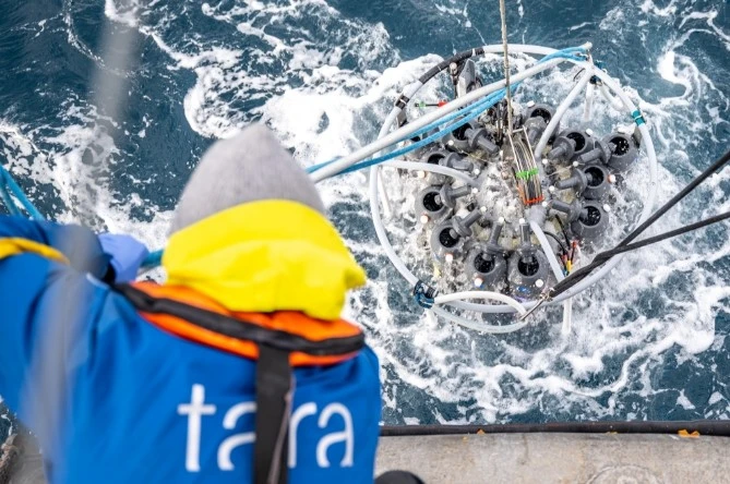 Addressing the Environmental Emergency