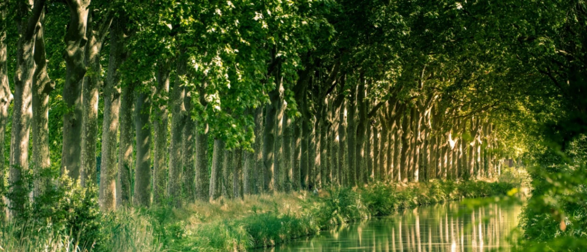 Renewing Our Commitment to Healthier Waterways in France