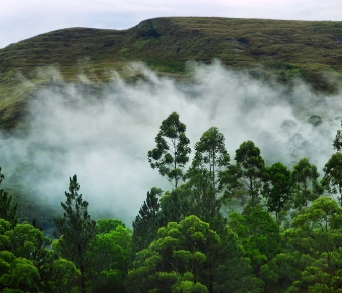 A Systemic Commitment to Nature