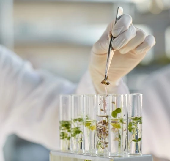 AXA Chair for Resilient Crops - Federico ARIEL