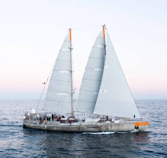 Tara Océan - France’s Leading Ocean-Focused Foundation