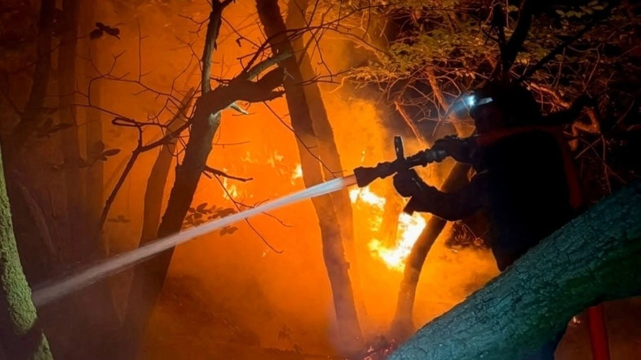 Over 116,000 Hectares Burned to Date in 2026: France is Facing the Worst Wildfire Crisis in its Modern History