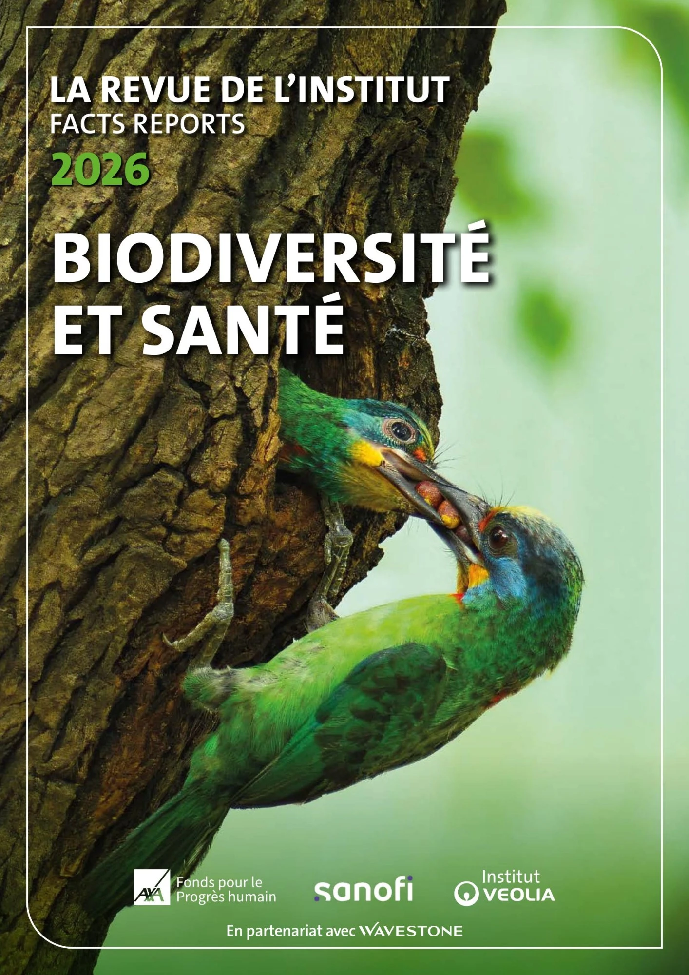 French cover of FACTS Reports 28 on biodiversity and health, showing two birds on a tree trunk.