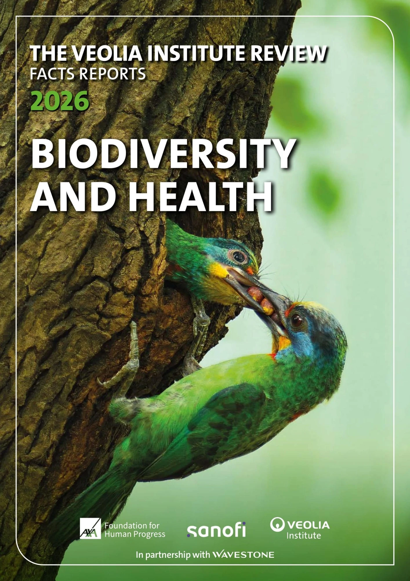 English cover of FACTS Reports 28 on biodiversity and health, showing two birds on a tree trunk.